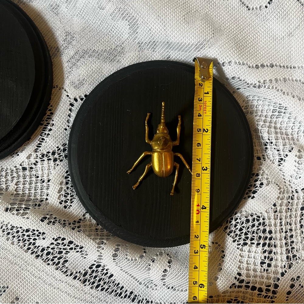 Gold Insect Plaques - Picture 6 of 6